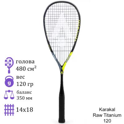 Ракетка для сквоша Karakal Raw Titanium 120