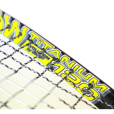 Ракетка для сквоша Karakal Raw Titanium 120