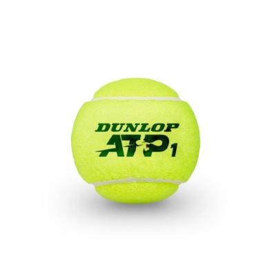 Теннисные мячи Dunlop ATP железная банка 4 мяча