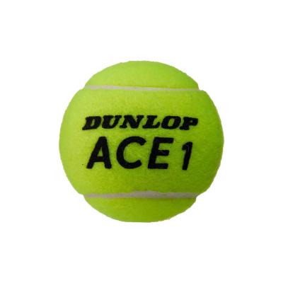 Теннисные мячи Dunlop ACE All Court 3 мяча