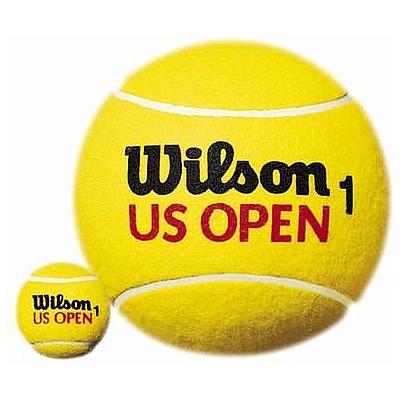 Теннисные мячи Wilson US Open 4 мяча