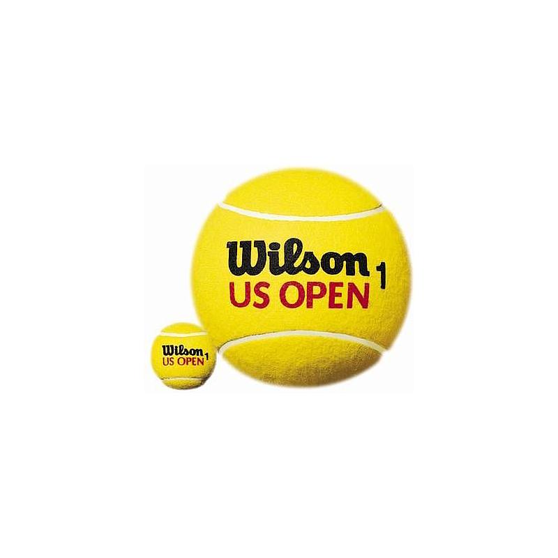 Теннисные мячи Wilson US Open Extra Duty 72 (18x4)