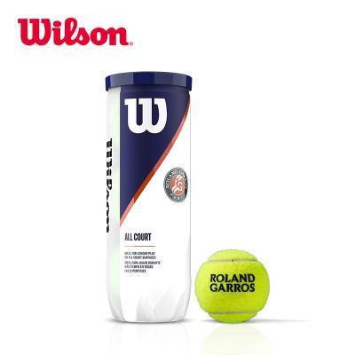 Теннисные мячи Wilson Roland Garros All Court 72 (24*3)