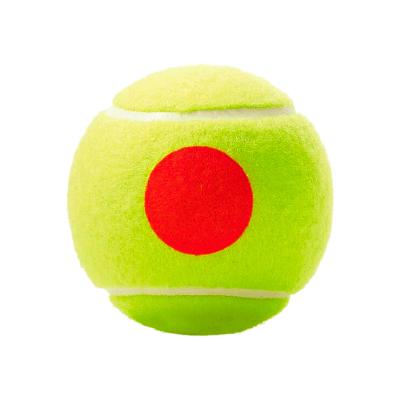 Теннисные мячи Wilson Roland Garros Red 72