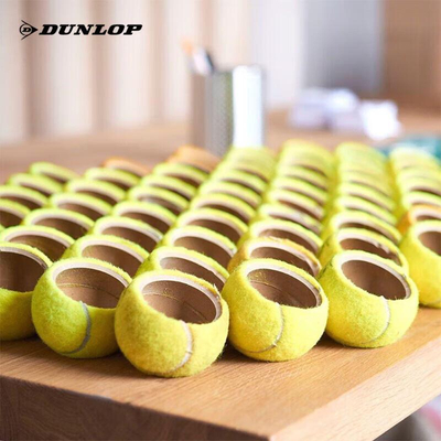 Теннисные мячи DUNLOP Coaching долговечные без давления для пушек пакет 48 мячей